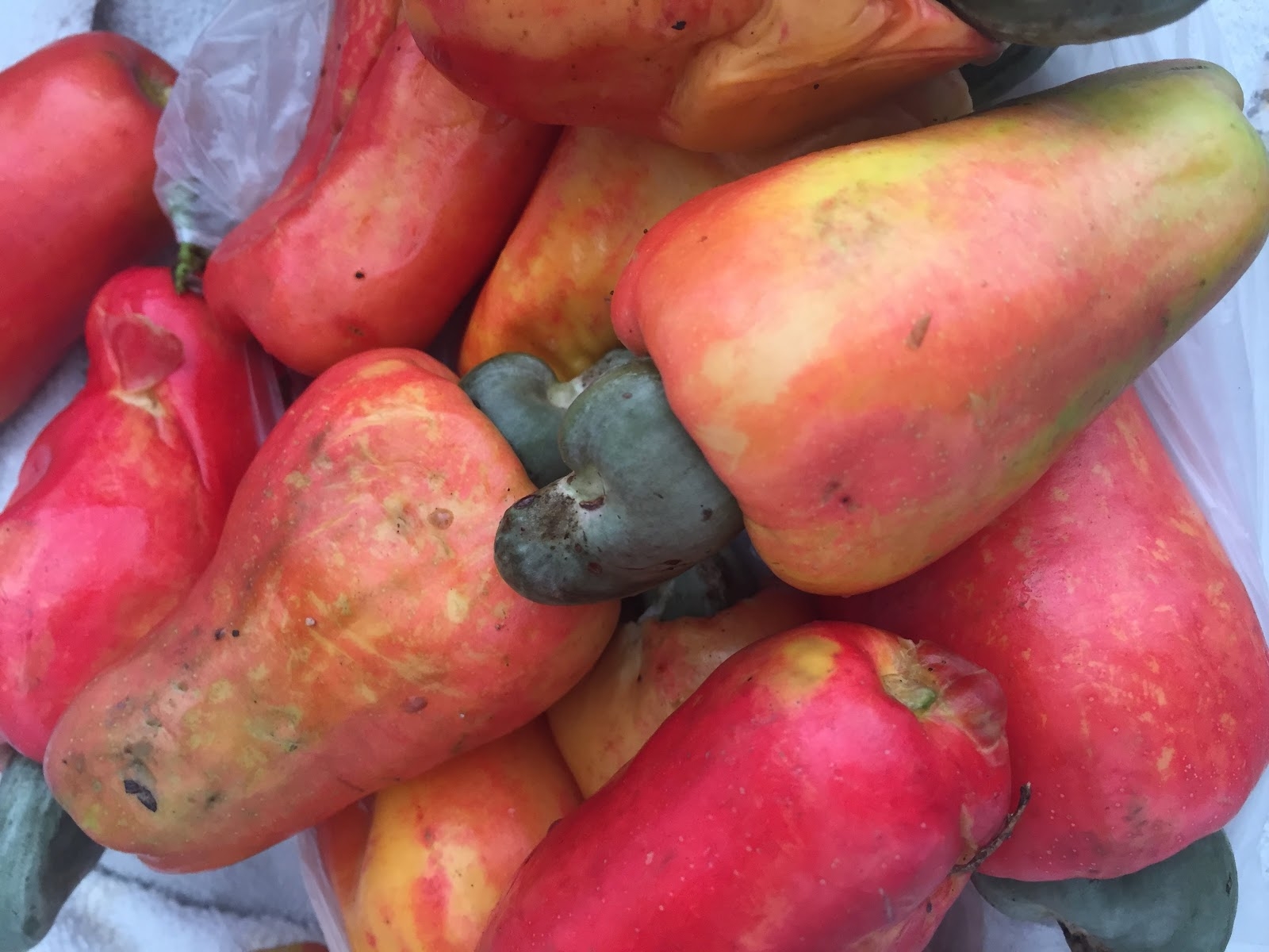 Attempts At Salvadoran Cooking Refresco De Mara on