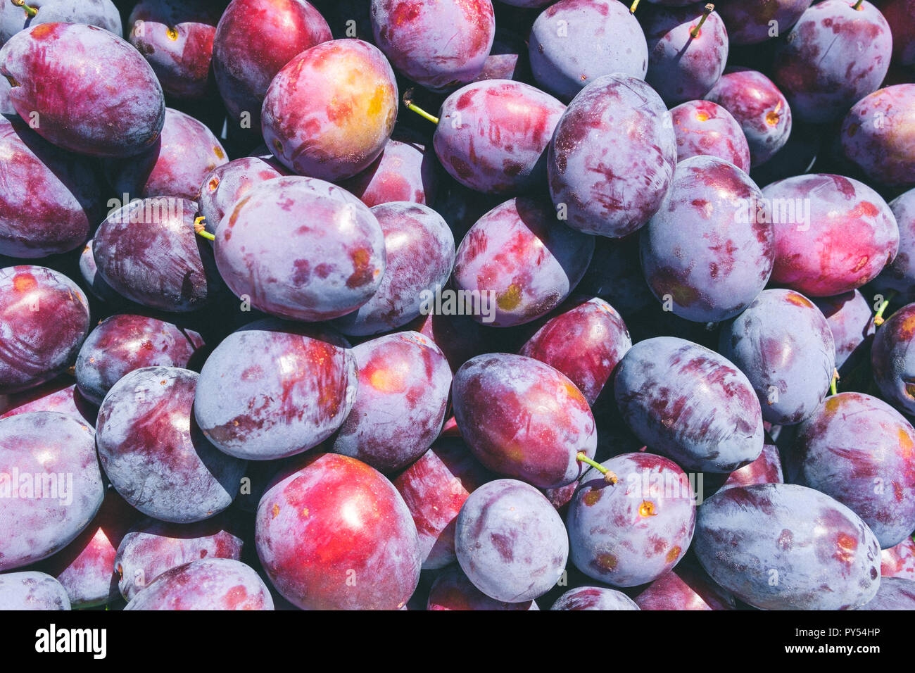 Australian Fruits Hi res Stock Photography And Images Alamy