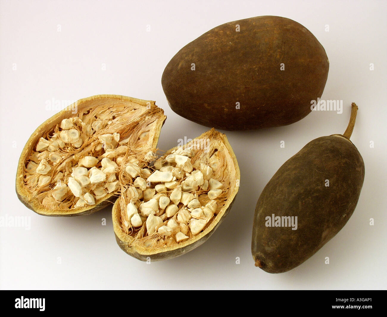 Baobab Tree Fruit Stock Photo Alamy