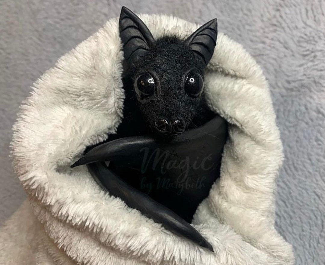 cute fruit bat pictures