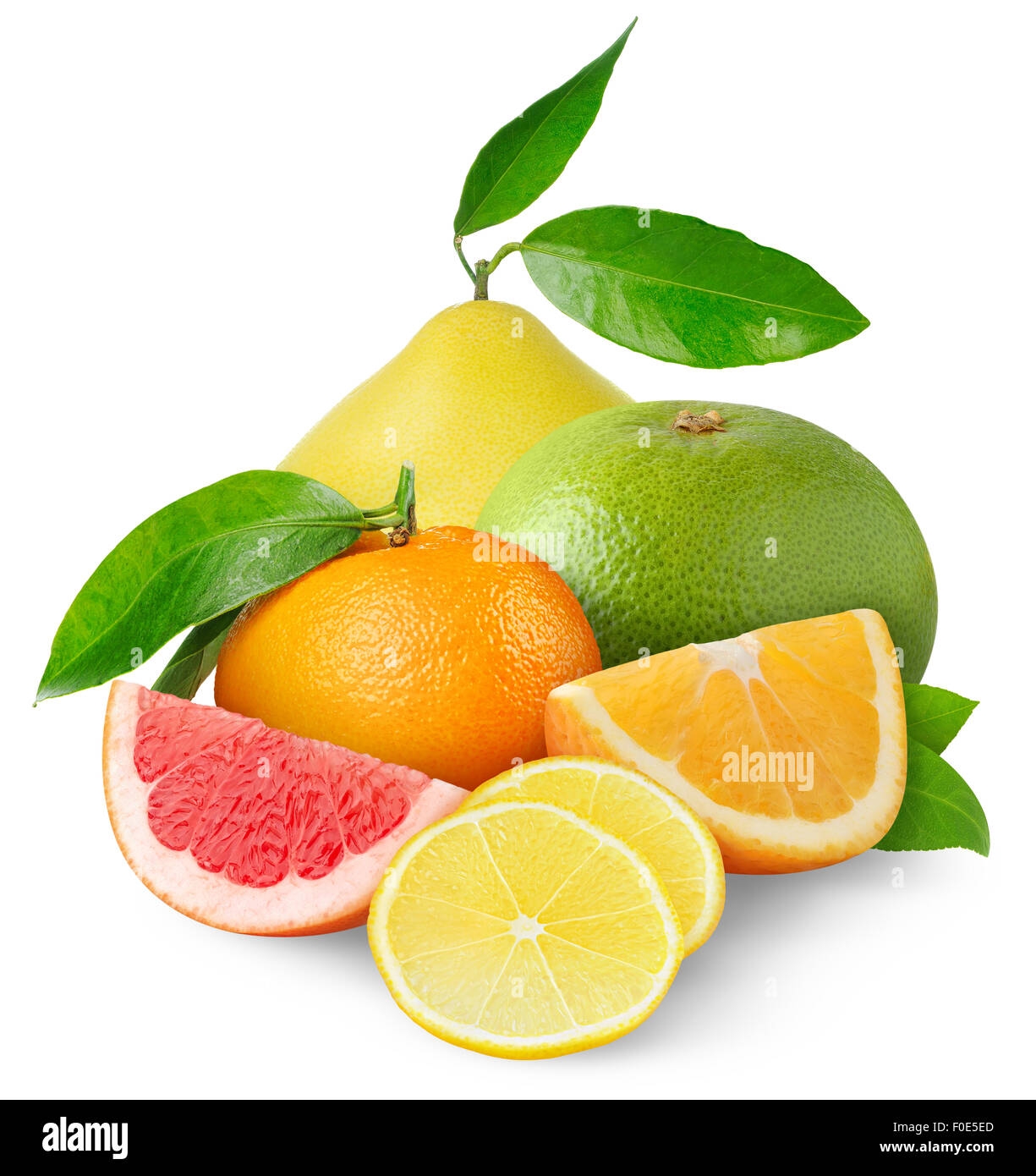 pictures of citrus fruits