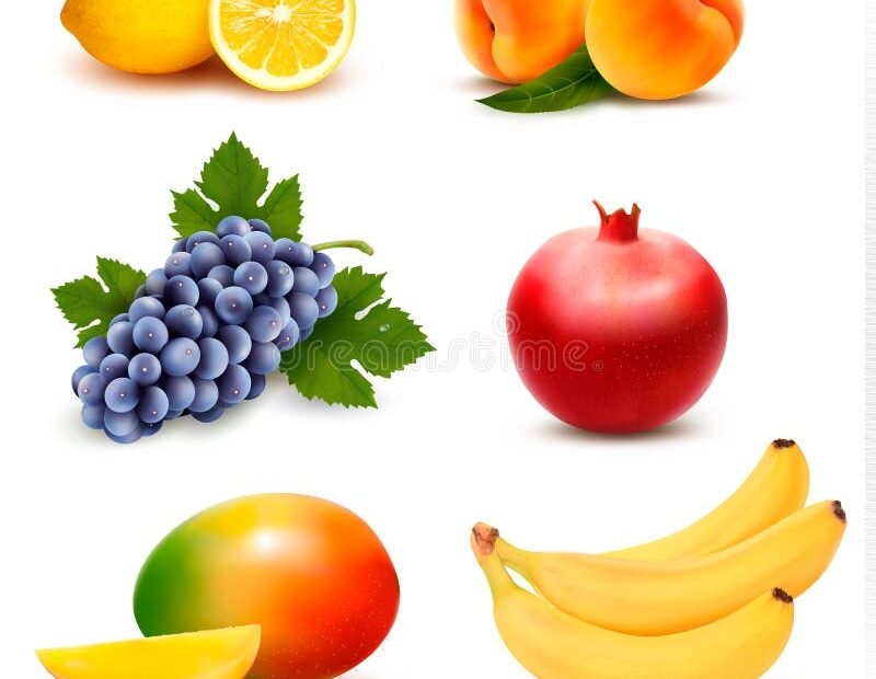 Big Fruit Stock Illustrations 21 531 Big Fruit Stock Illustrations Vectors U0026 Clipart Dreamstime