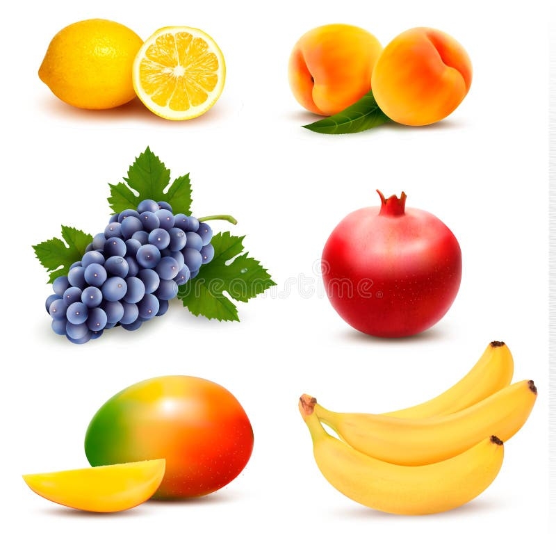 Big Fruit Stock Illustrations 21 531 Big Fruit Stock Illustrations Vectors U0026 Clipart Dreamstime