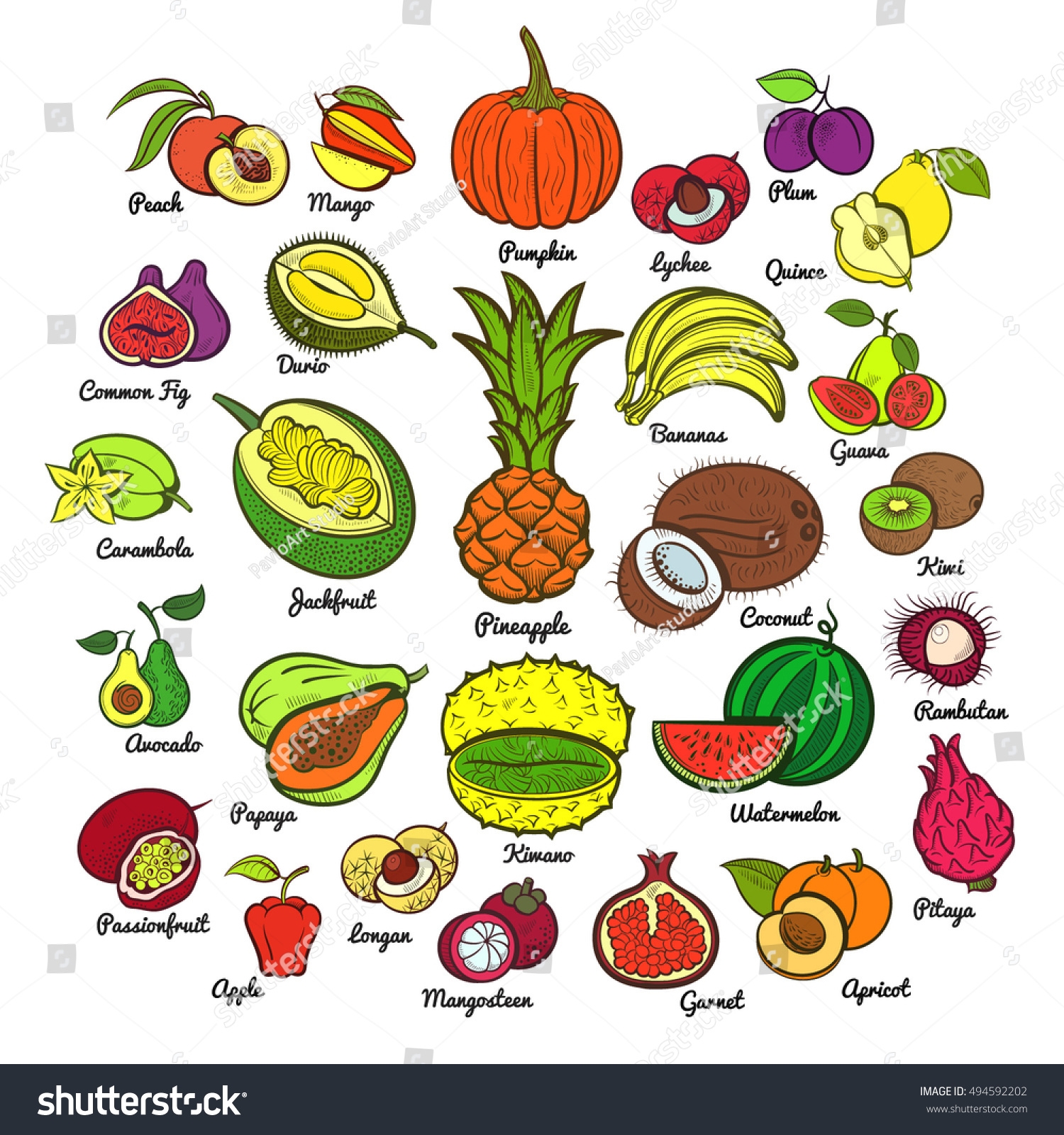 Big Fruits Collection Pineapple Bananas Pumpkin Stock Vector Royalty Free 494592202 Shutterstock