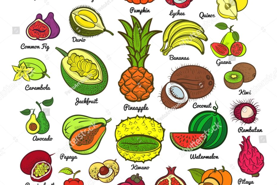 Big Fruits Collection Pineapple Bananas Pumpkin Stock Vector Royalty Free 494592202 Shutterstock