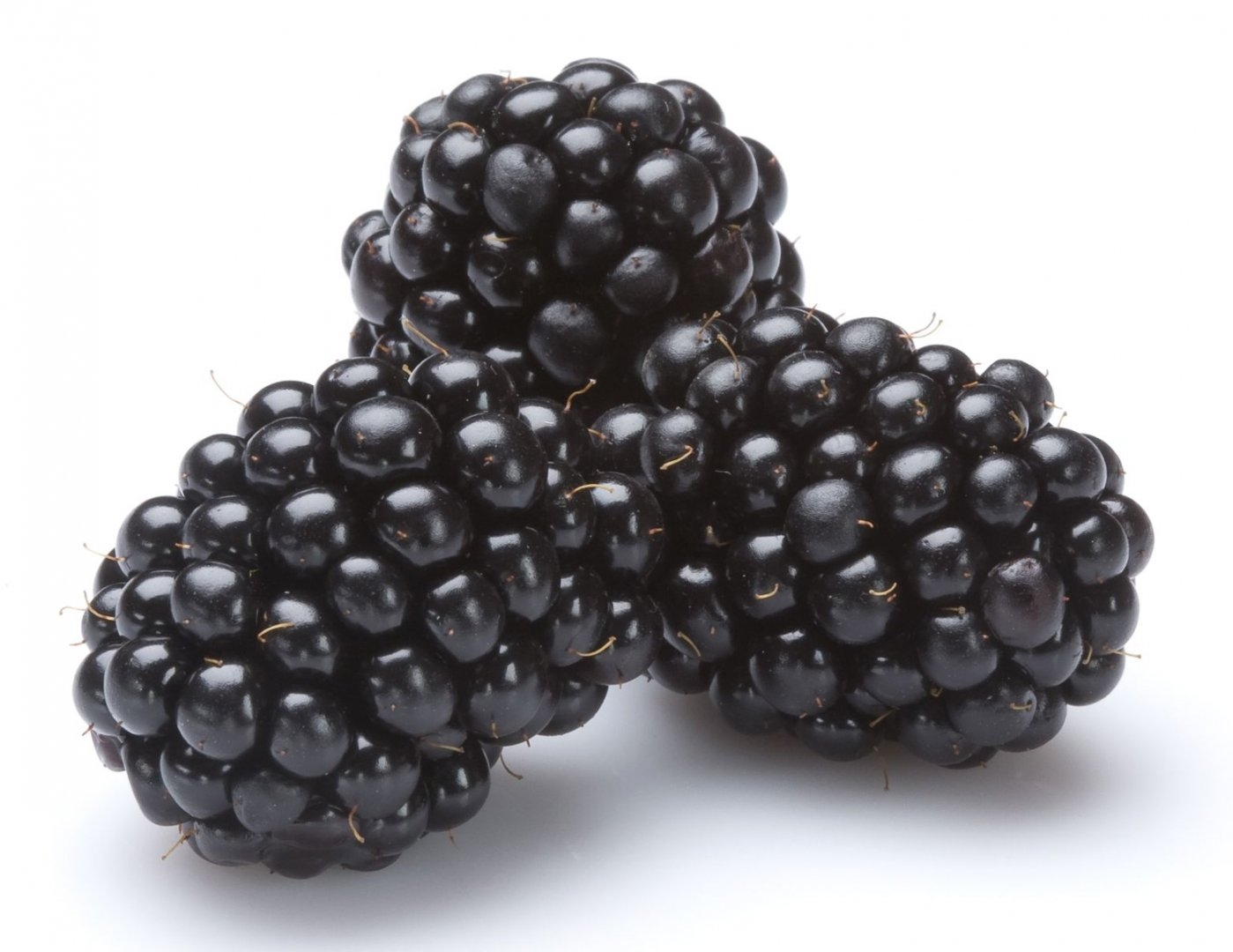 blackberry fruit picture