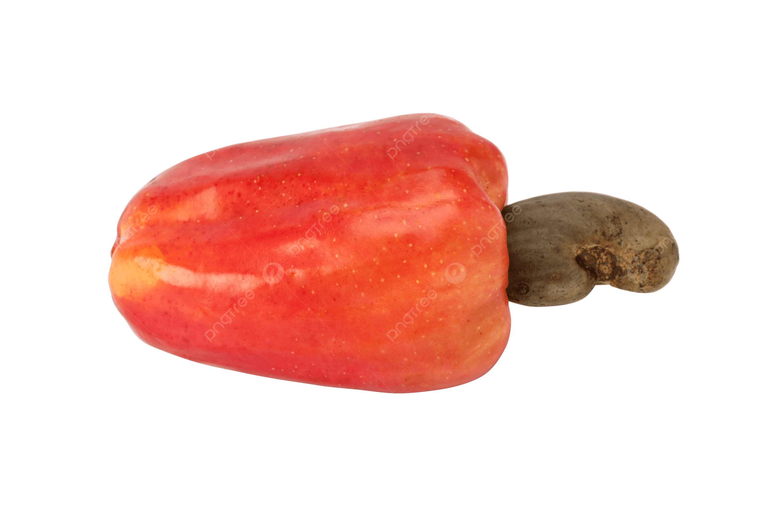caju fruit picture