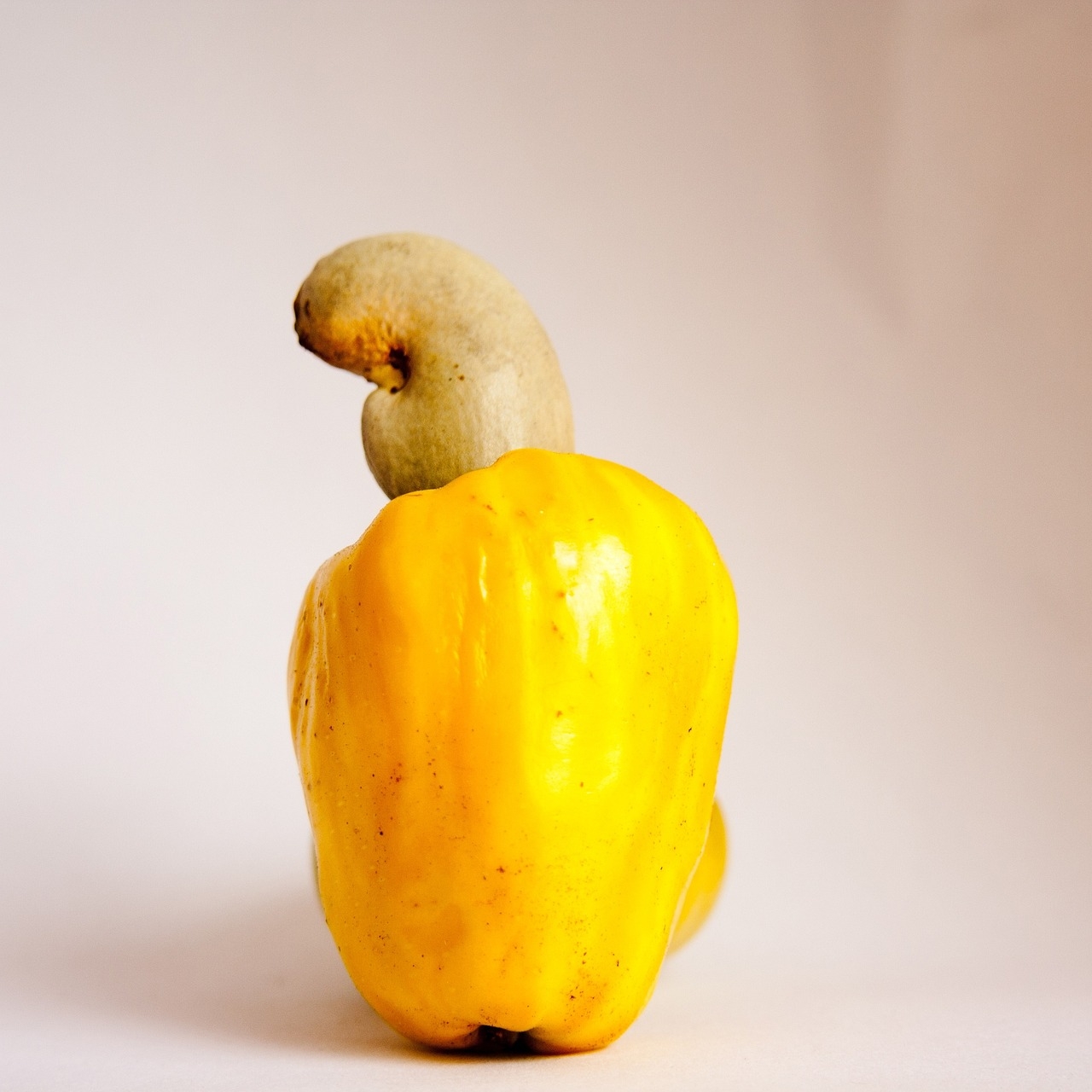 Cashew Fruit Yellow Free Photo On Pixabay