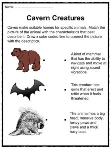 Cave Facts Worksheets Features Formation Creatures Locations