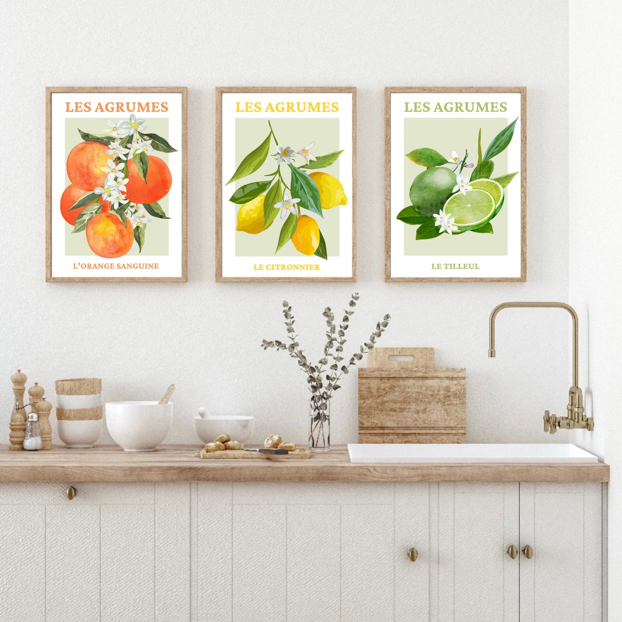 Citrus Fruit Print Set Of 3 French Fruit Art Prints Fruit Wall Art Kitchen Print Home Decor Wall Prints Posters Wall Art Kitchen Etsy Australia