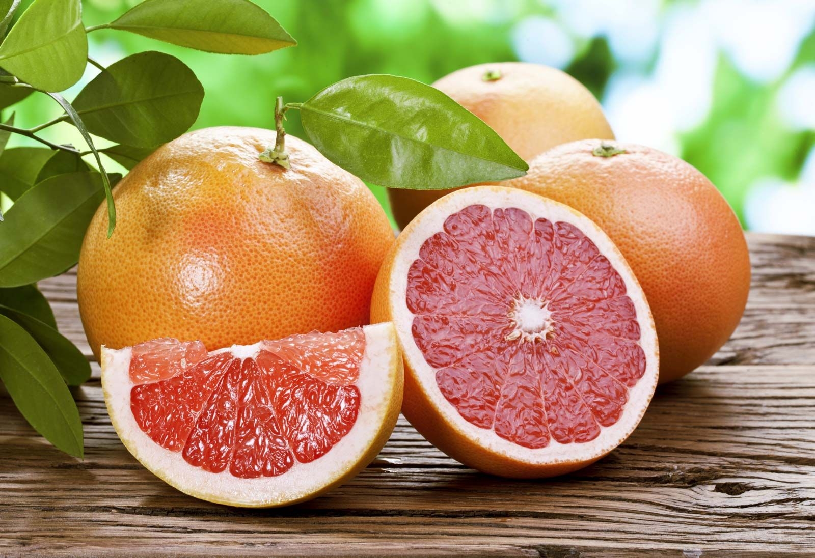 Citrus Fruit Trees Aromatic Britannica