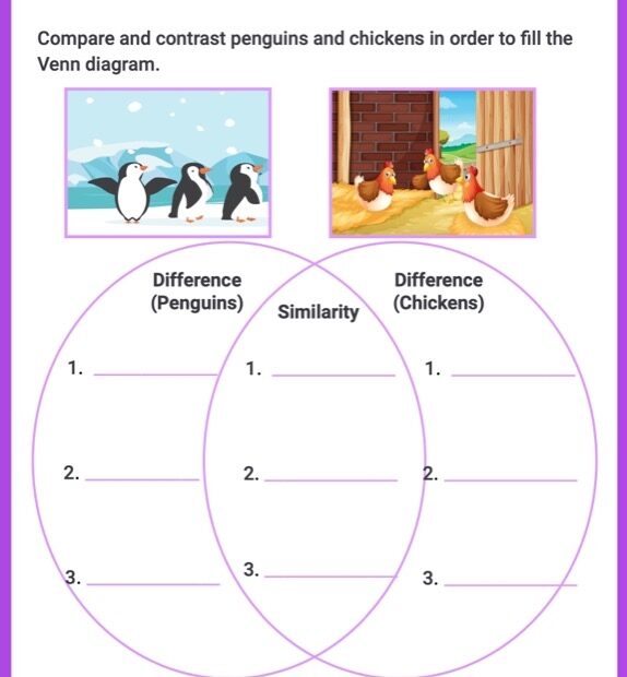 Compare And Contrast Worksheets For Kids Online