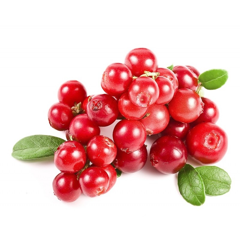 cranberry fruit picture
