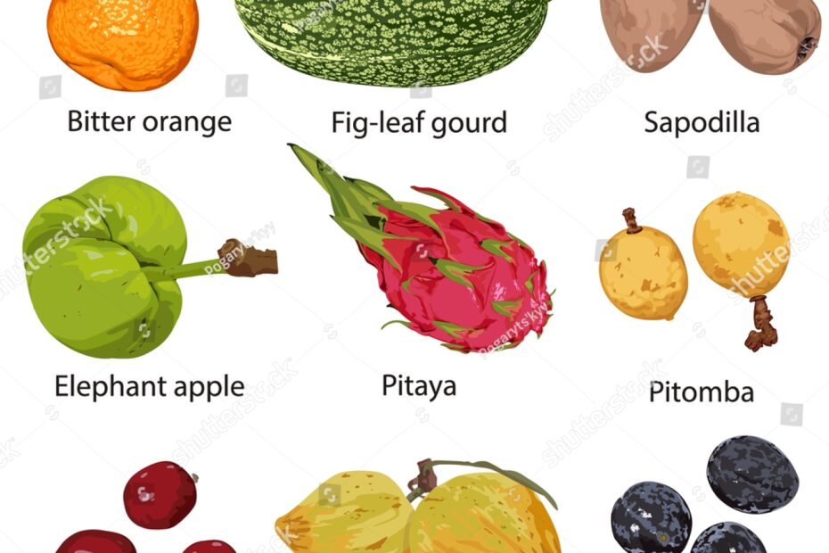 Different Fruits Names On White Background Stock Vector Royalty