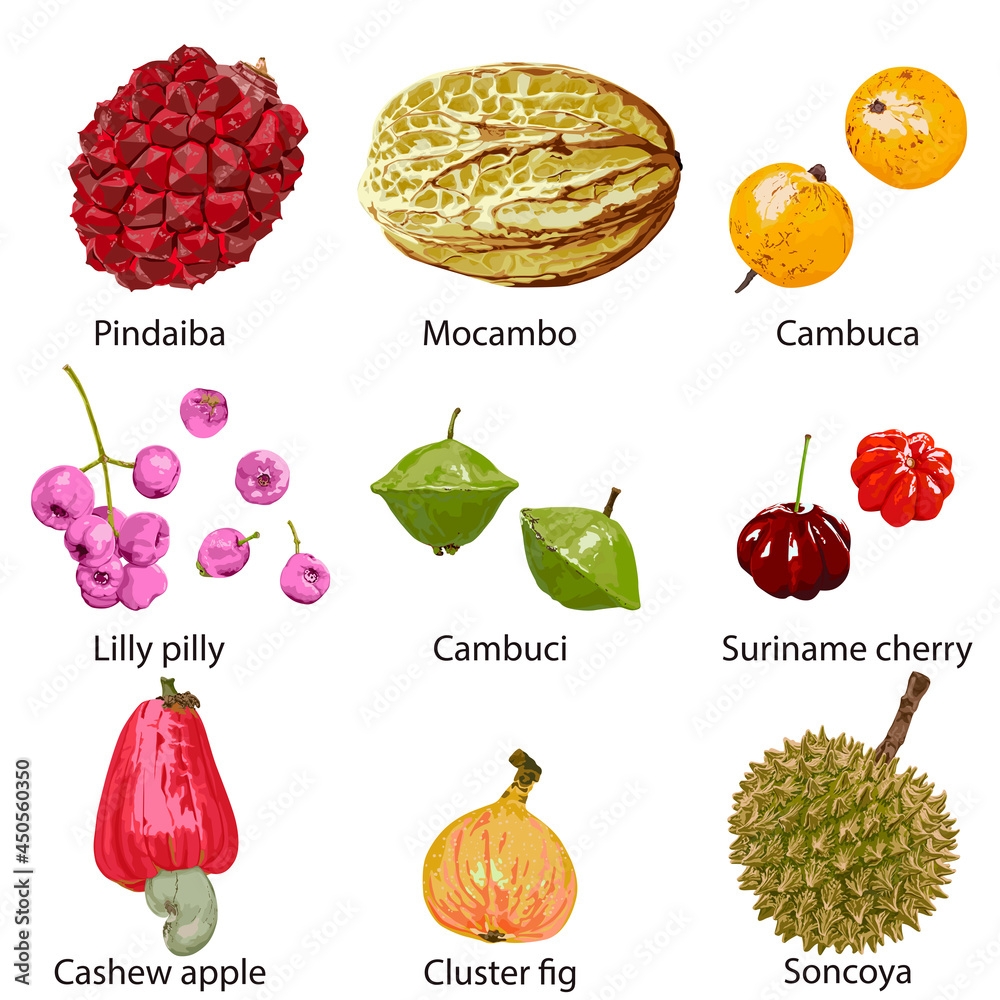 Different Fruits With Their Names On A White Background Stock 