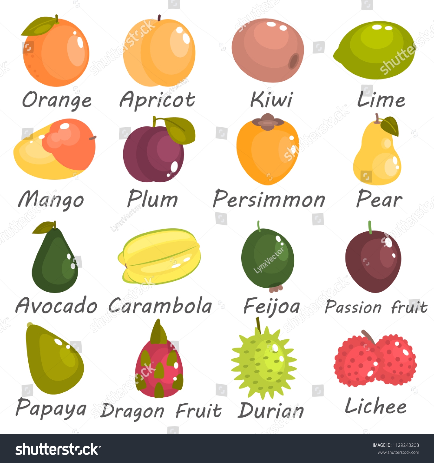 all fruits in the world with pictures