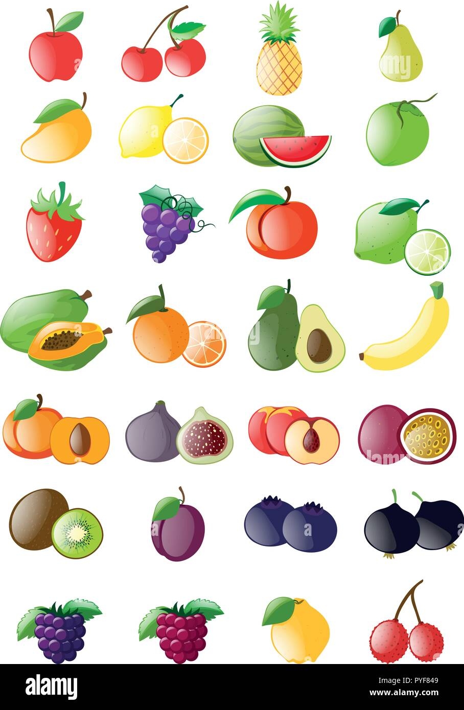 different kinds of fruits with pictures