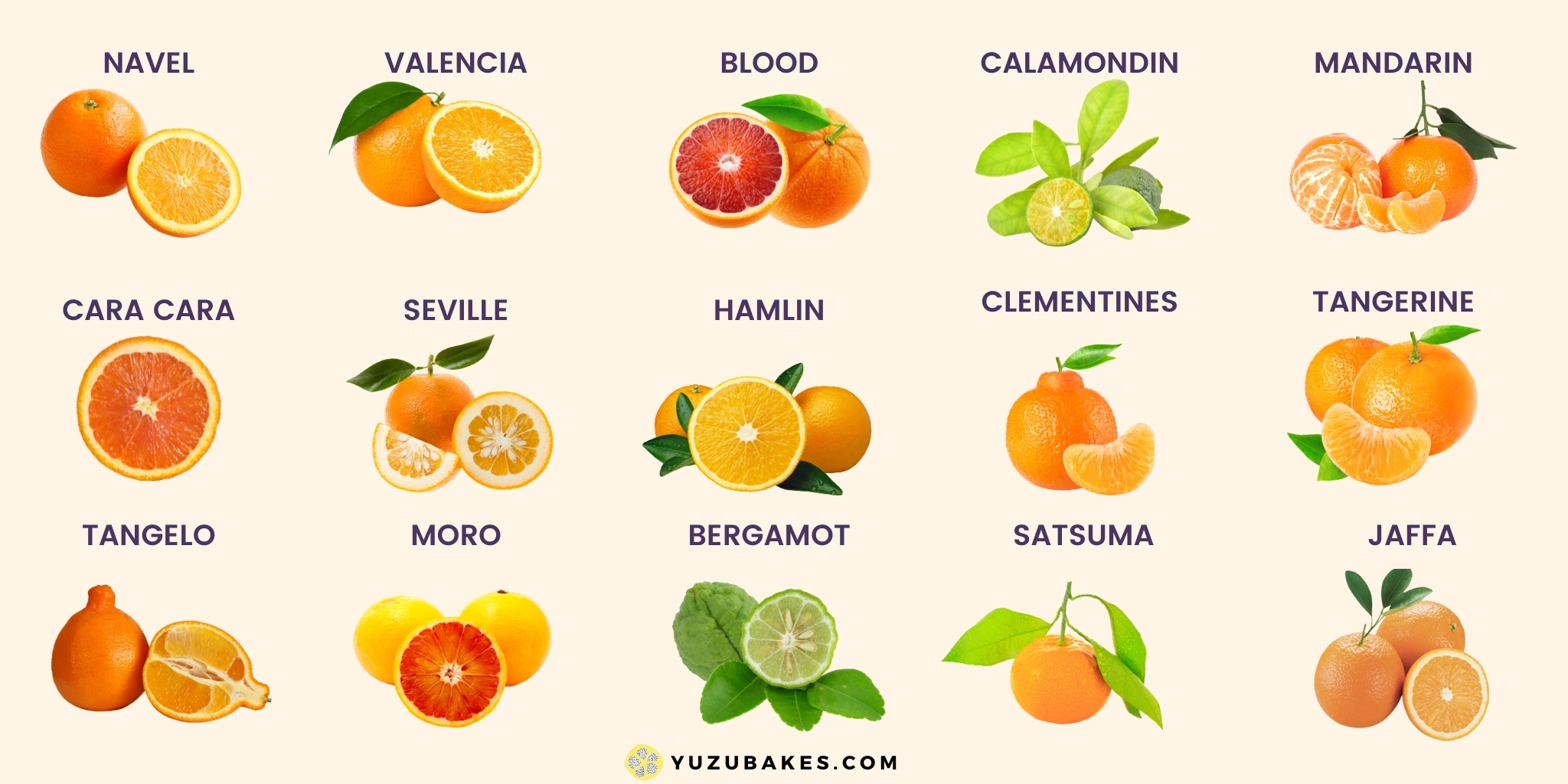 citrus fruits list with pictures