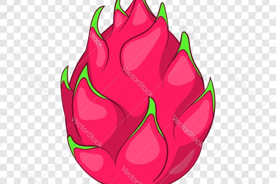 Dragon Fruit Icon Cartoon Style Royalty Free Vector Image