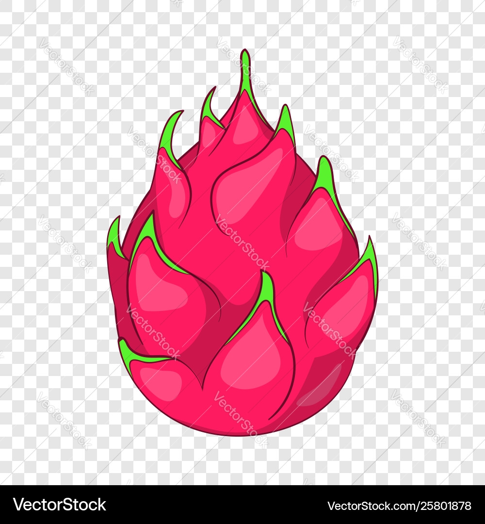 Dragon Fruit Icon Cartoon Style Royalty Free Vector Image