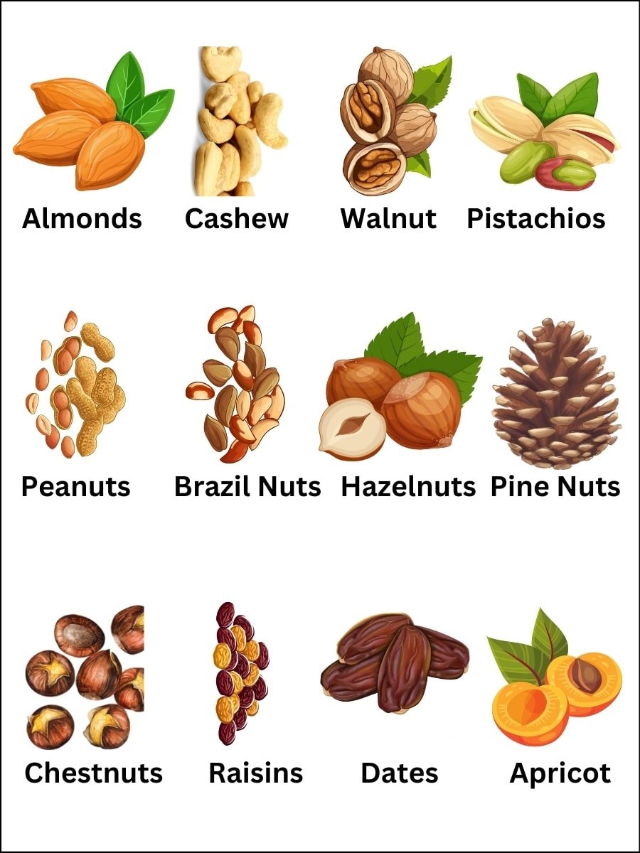 Dry Fruit Names Explore List Of Different Names In English 
