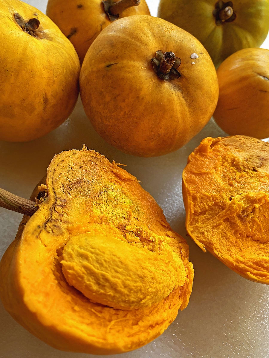 Eggfruit A Tropical Taste Of Hawaii Dengarden