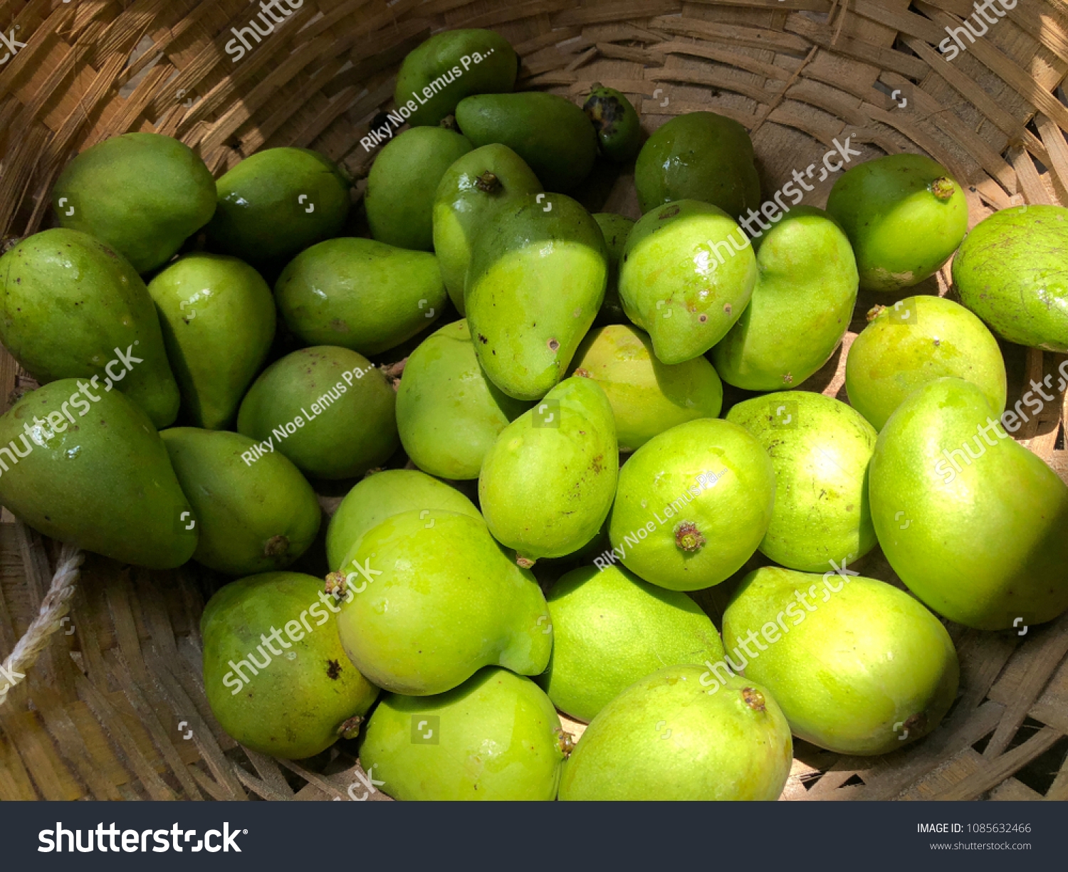 El Salvador Fruits Stock Photo 1085632466 Shutterstock