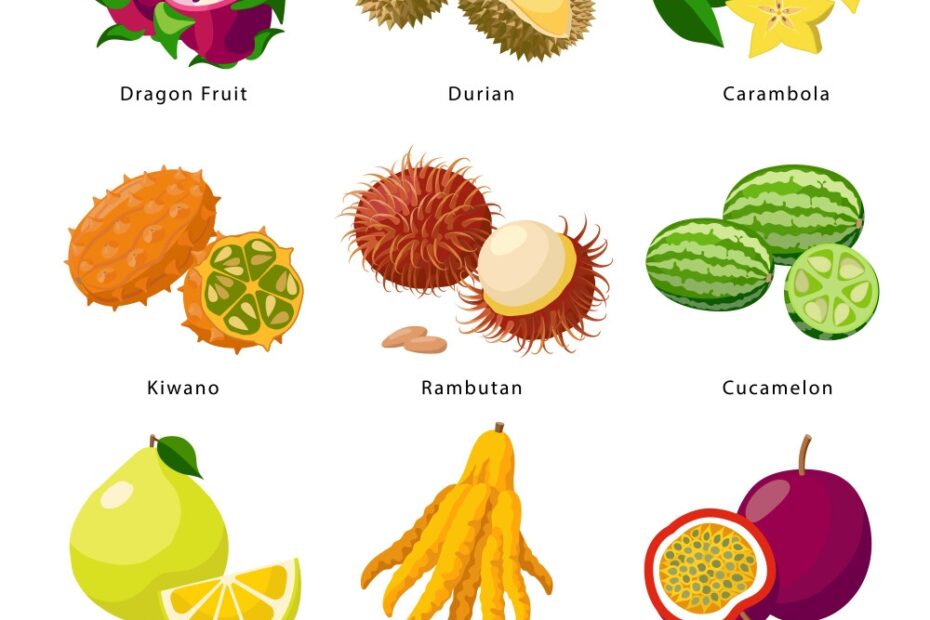 Exotic Fruits Icon Set Detailed Royalty Free Vector Image