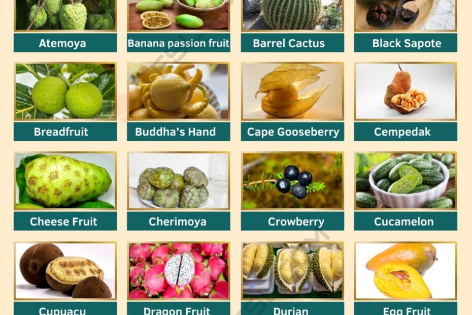Exotic Fruits Names In English With Pictures 7ESL