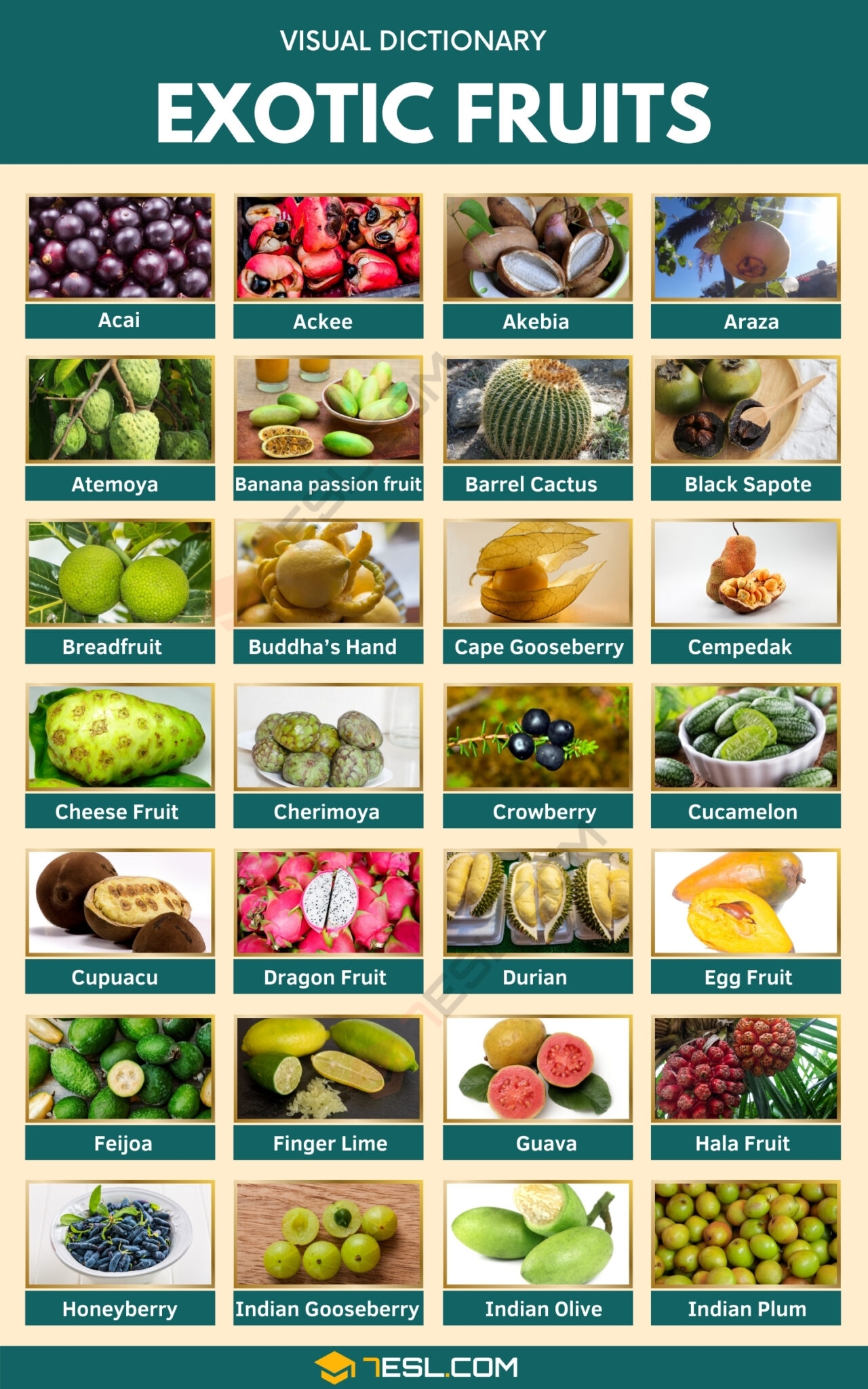 Exotic Fruits Names In English With Pictures 7ESL