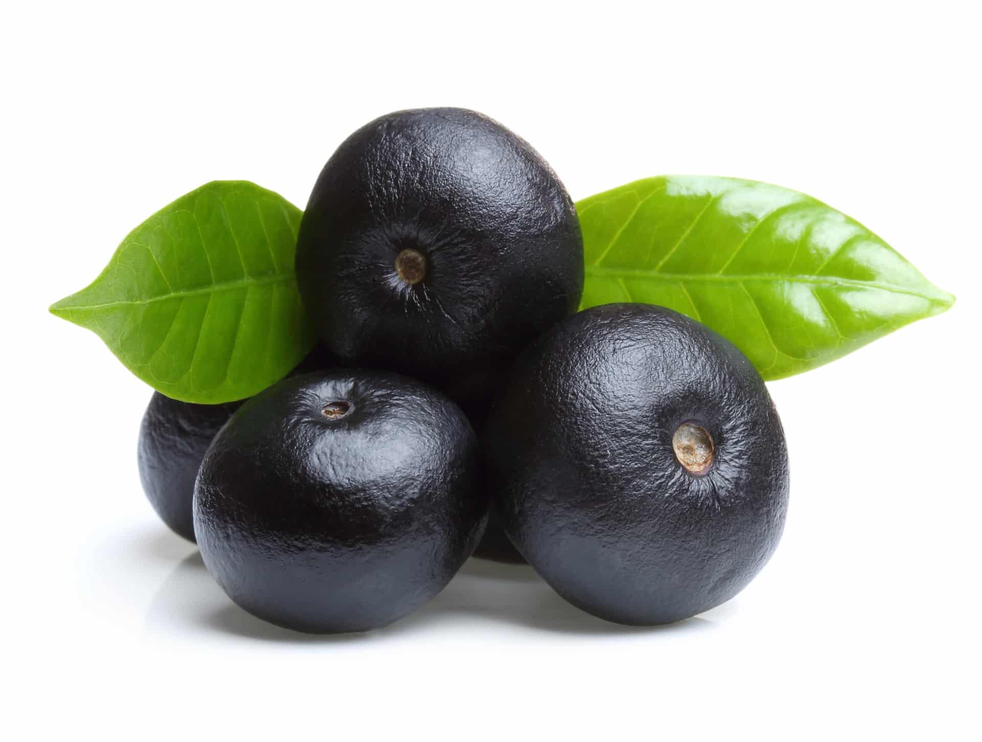 acai fruit picture