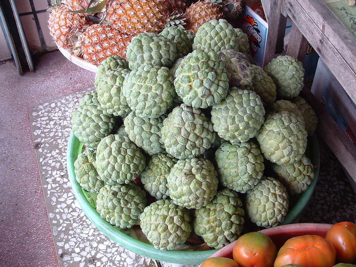 buddha fruit picture