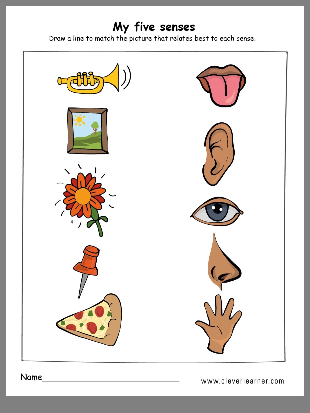 Five Senses Free Printable Worksheets