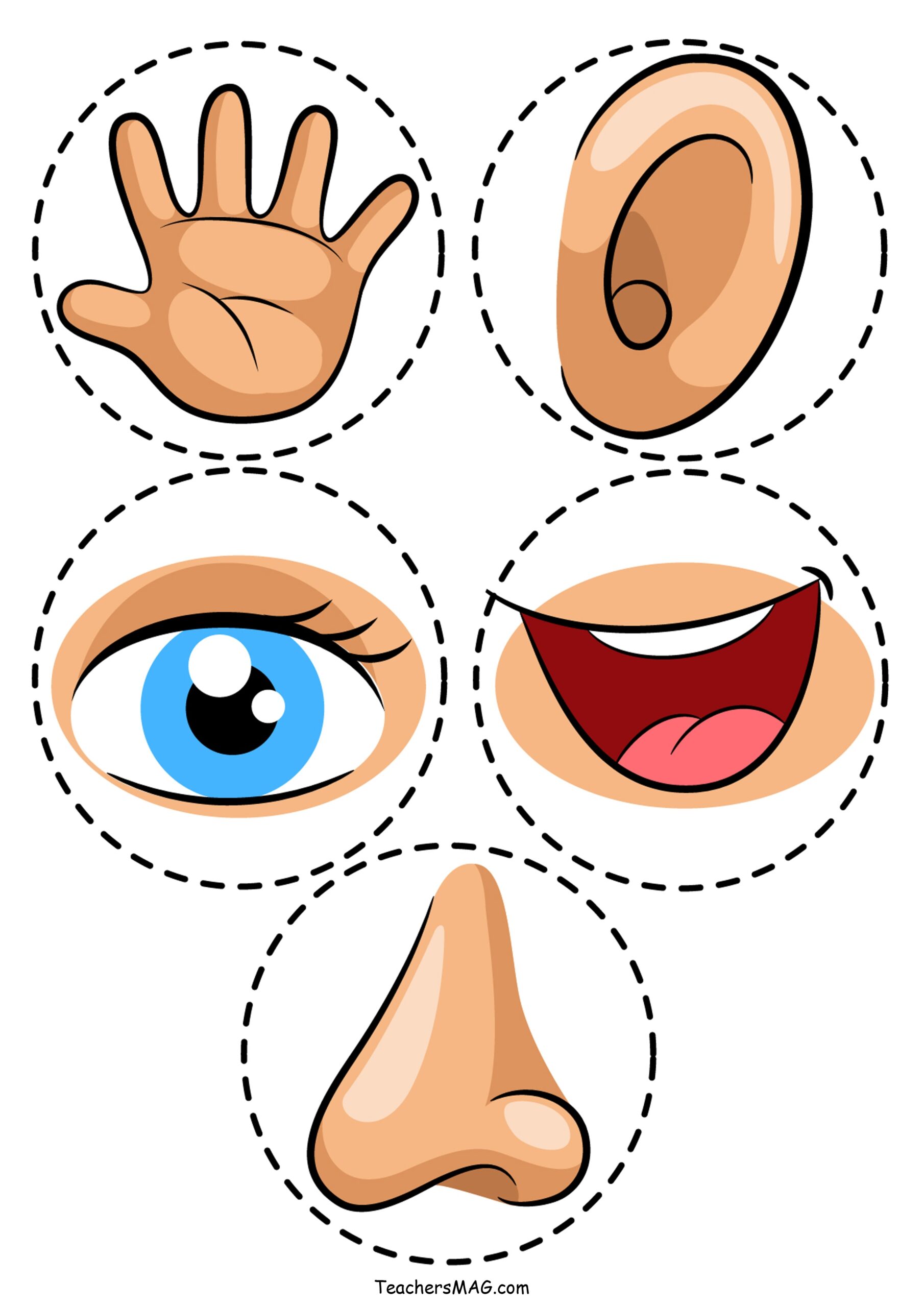 Five Senses Pictures Printables