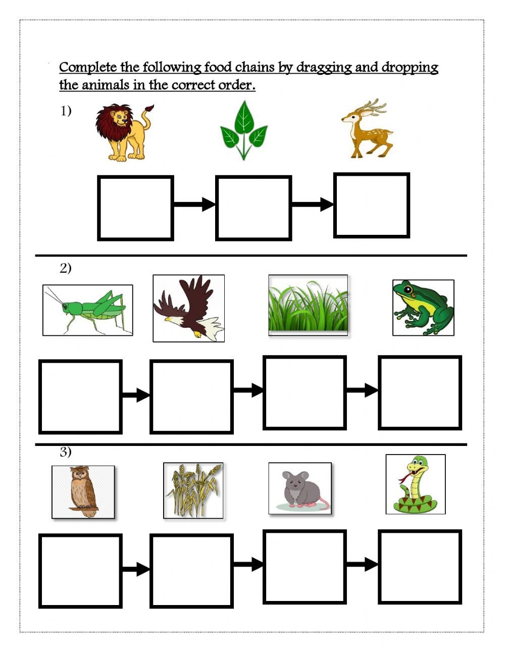 Food Chain Printables And Worksheets For Kindergarten And First Grade 