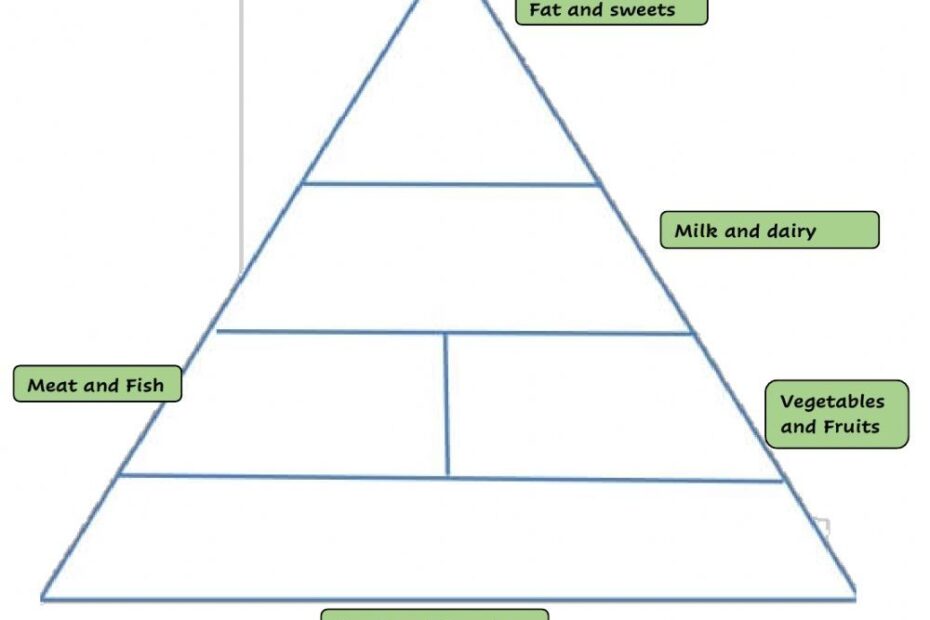 Food Pyramid Worksheet For Grade 4