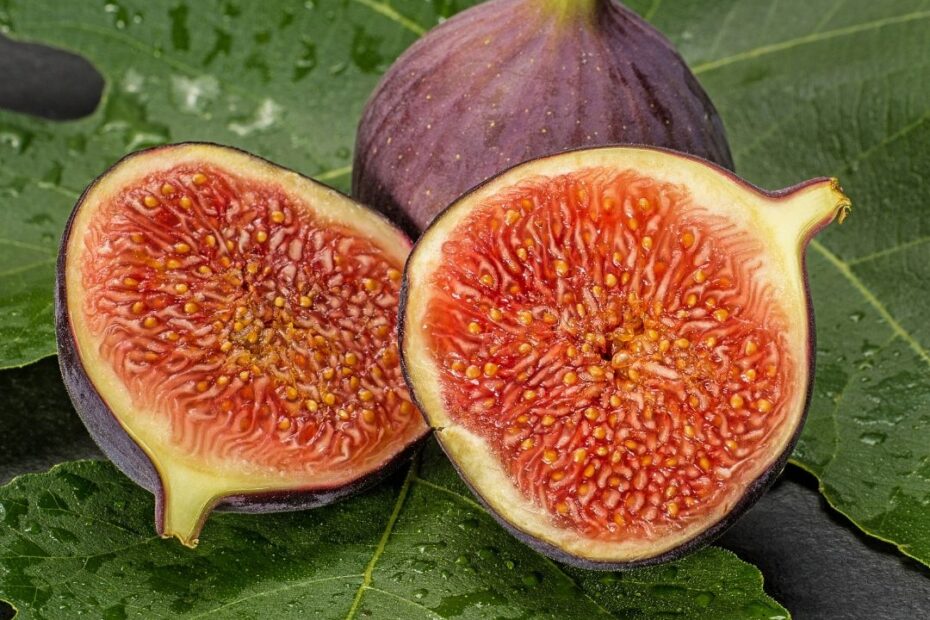 Forbidden Fruit Botanikos