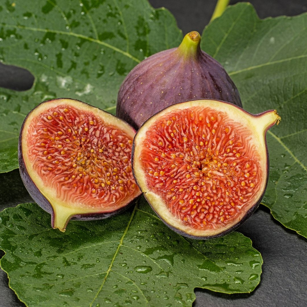 Forbidden Fruit Botanikos