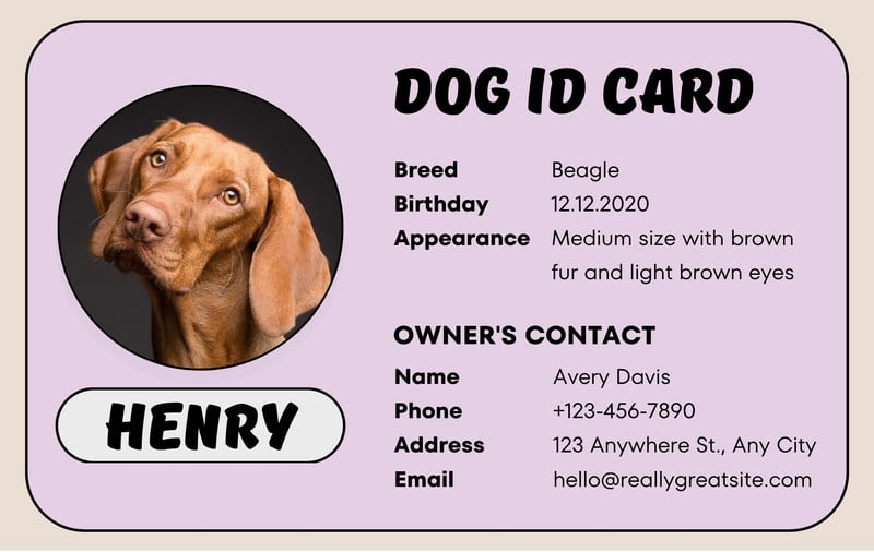 free printable pet id card template