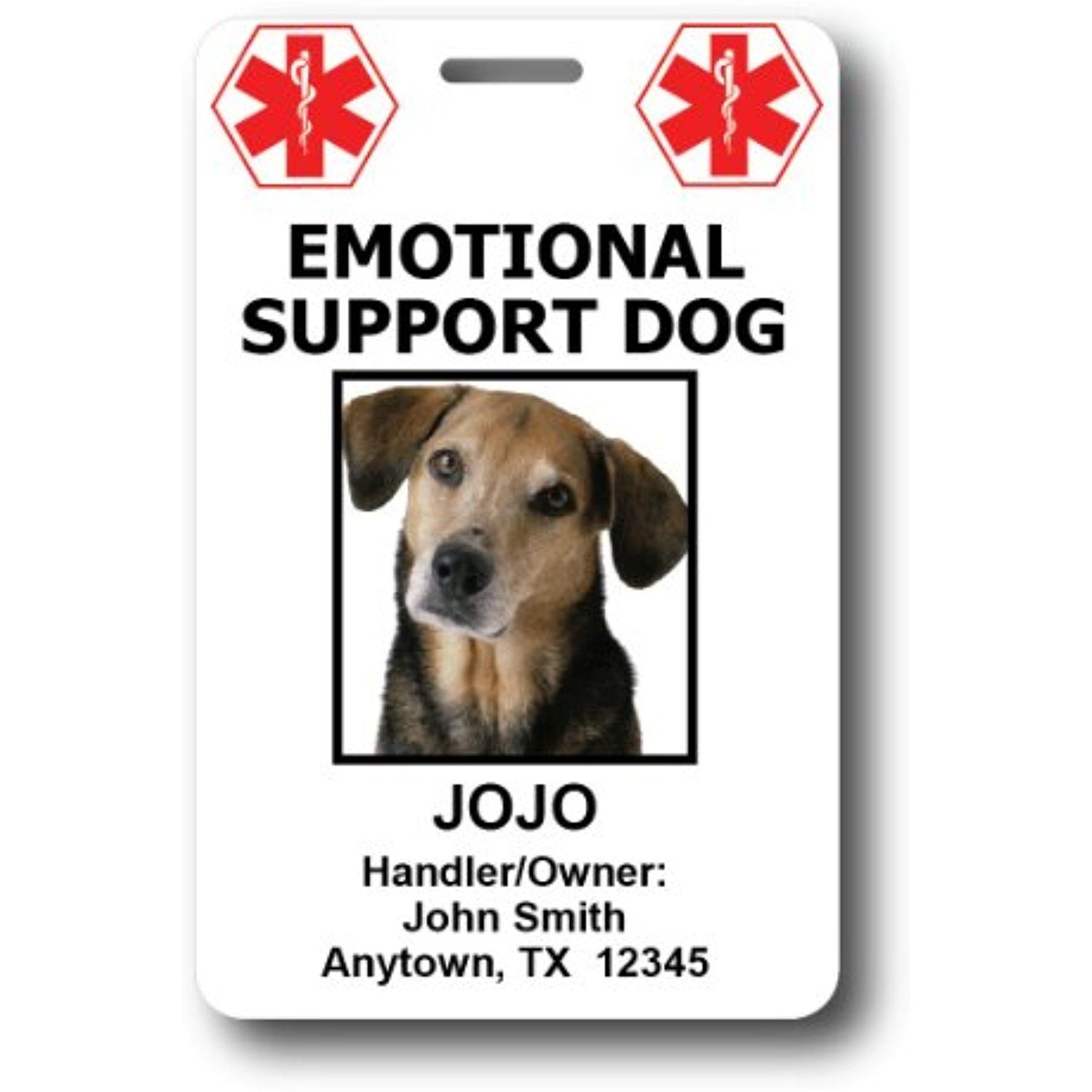 Free Emotional Support Animal Id Card Template Printable Calendars AT 