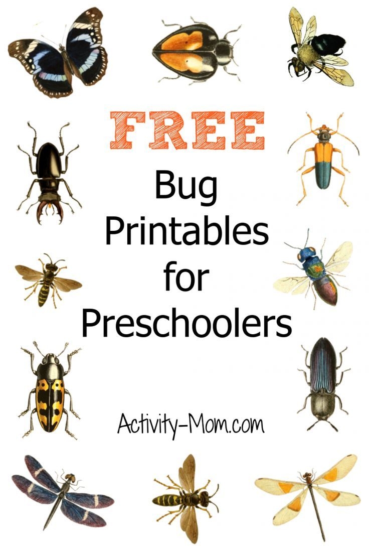Free Preschool Insect Theme Printables And Activities The Activity 