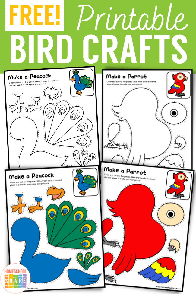 Free Printable Bird Activities Free Printables Hub