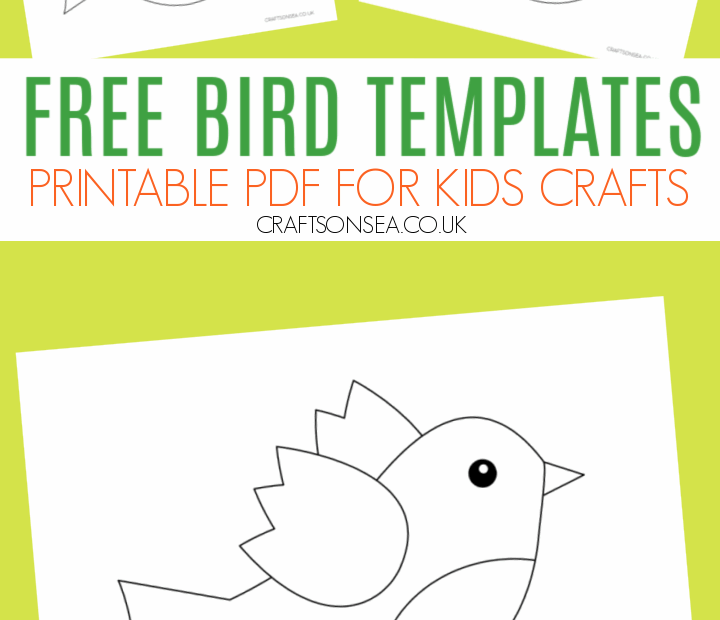 Free Printable Bird Activities Free Printables Hub