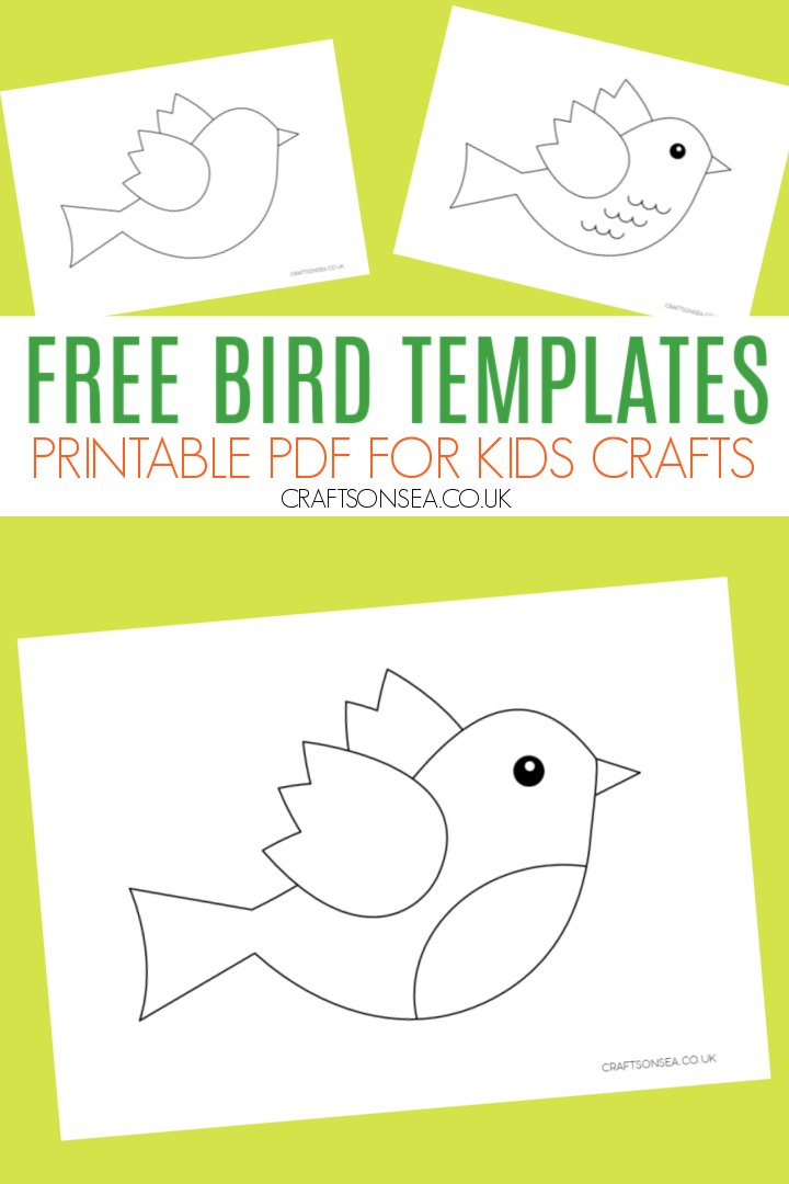 Free Printable Bird Activities Free Printables Hub