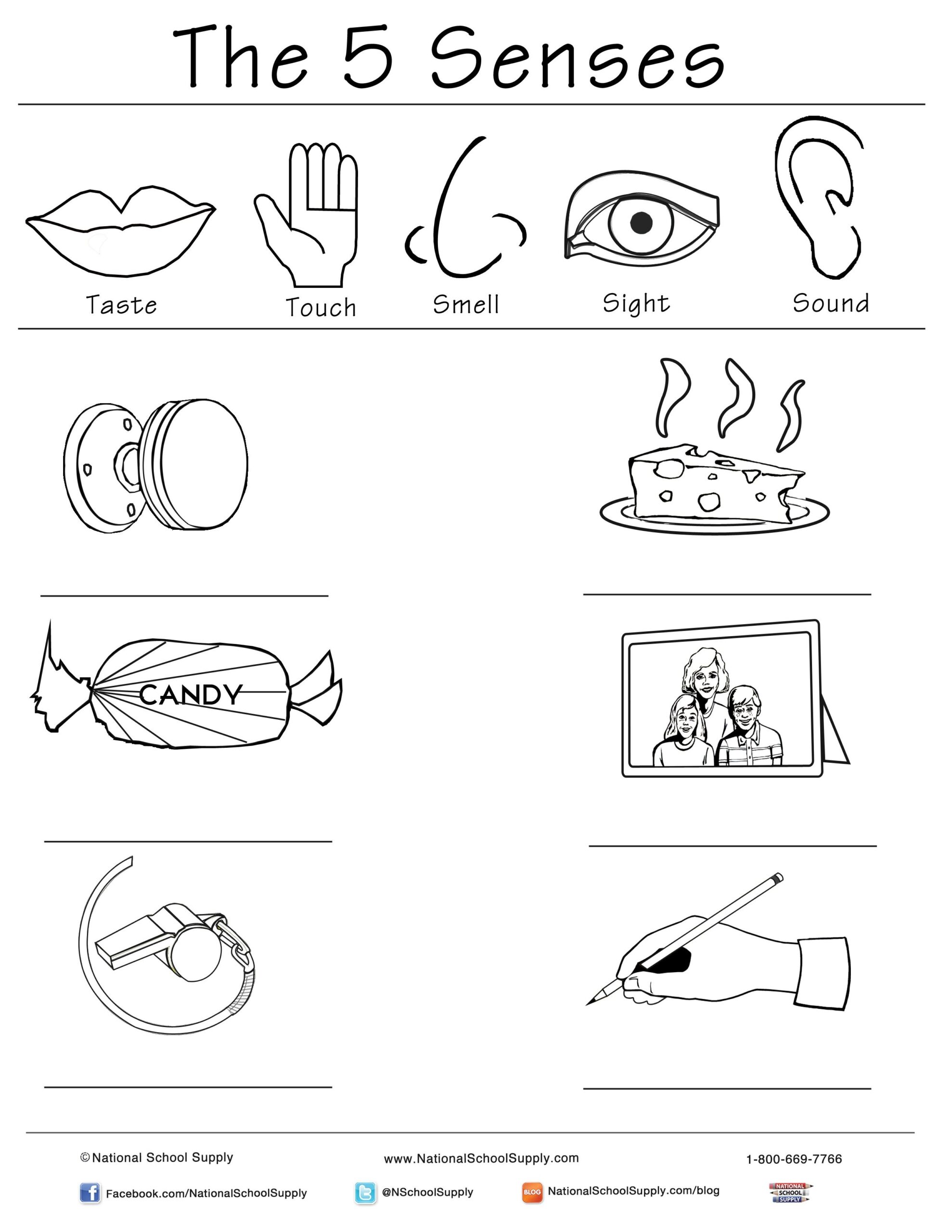 five senses printable activities