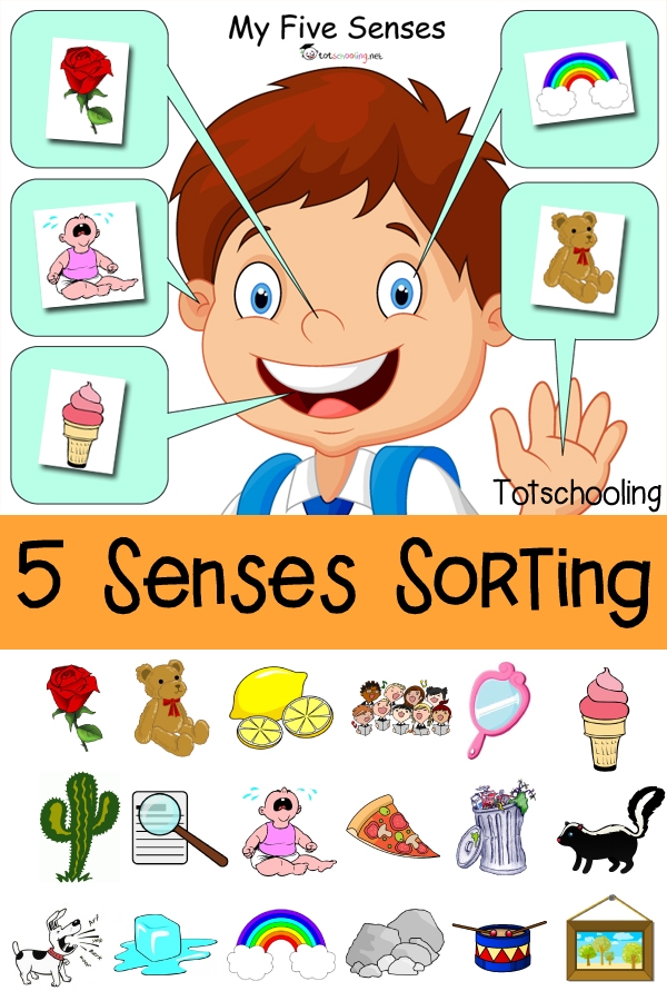 Free Printable Five Senses Worksheets