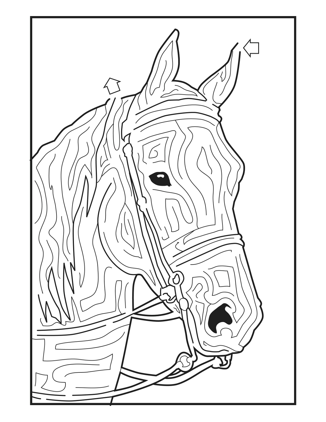 Free Printable Horse Activity Sheets