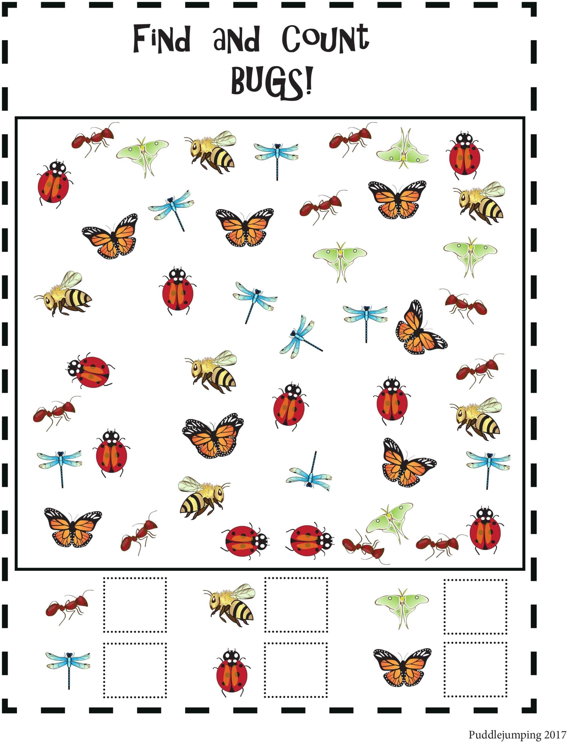 free printable bug activities
