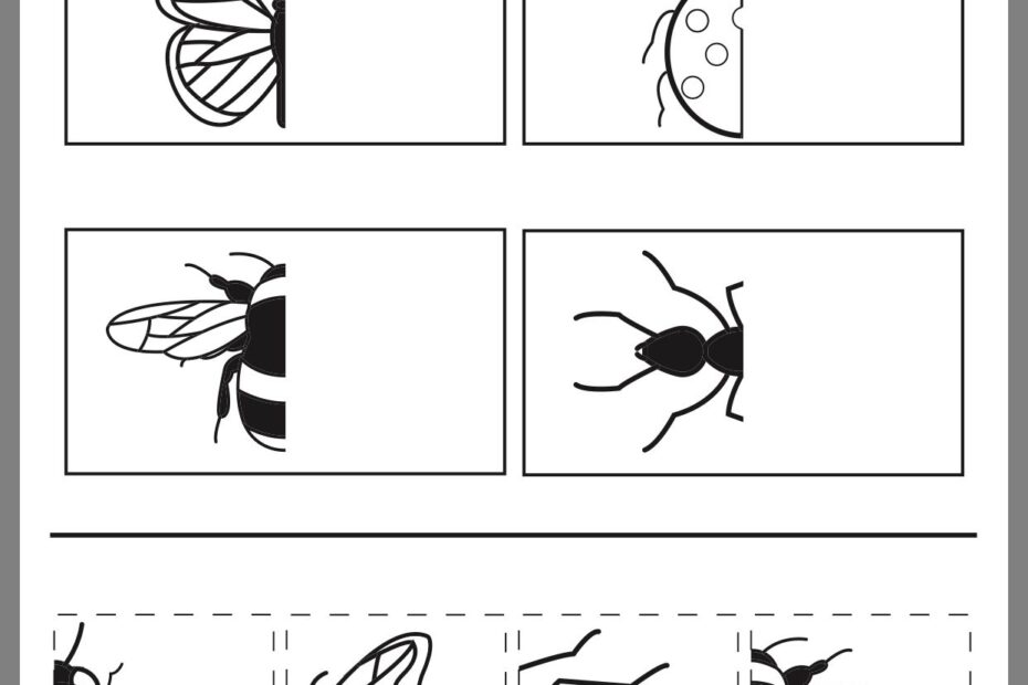 Free Printable Insect Activities