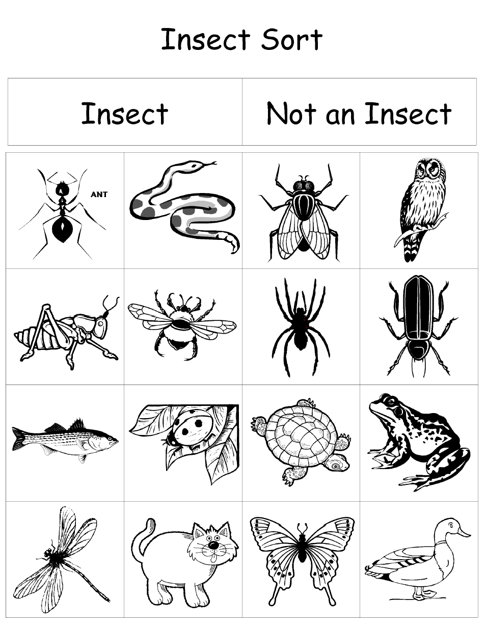 Free Printable Insect Activities